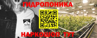 СК Сланцы