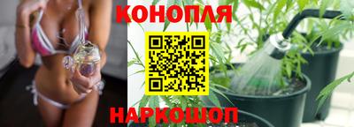 СК Сланцы
