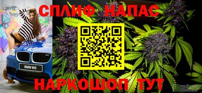 СК Сланцы