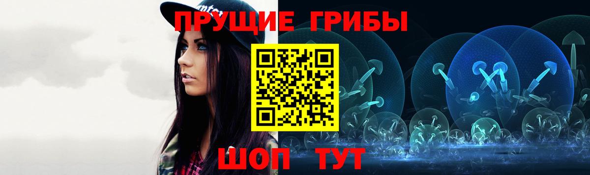 Псилоцибиновые грибы мицелий Москва